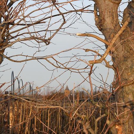 Отель De Betuwe Asch Экстерьер фото